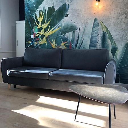Ara Apartament I Stary Toruń 외부 사진